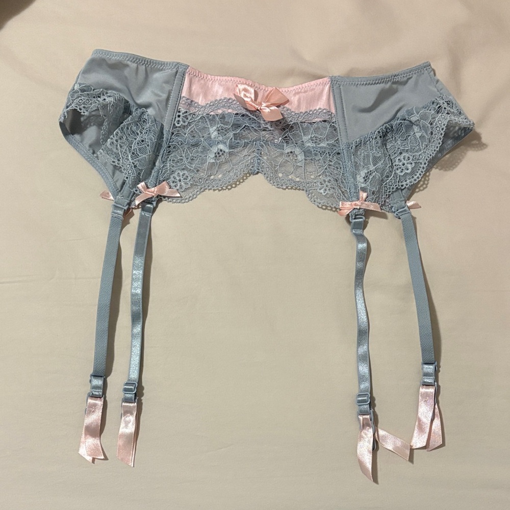 La Vie En Rose Gray and Pink Lace Garter Belt